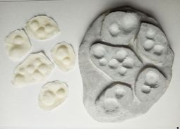 Plaster Mold to Make Your Own Latex Pustules