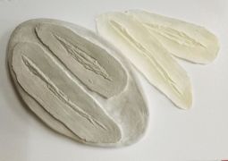 Plaster Mold to Make Your Own Latex Cuts #4
