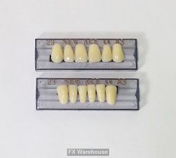 Plastic Front Teeth
